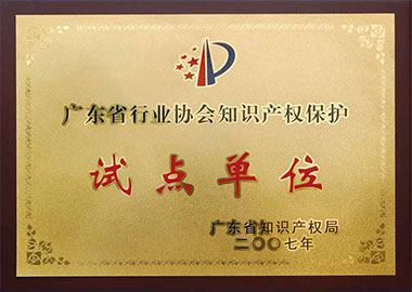 Intellectual Property Protection Industry Association, Guangdong Province, pilot units