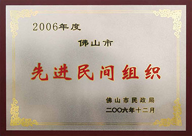 2006 Foshan advanced civil society organizations